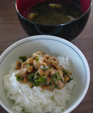 �[���ƍ����āA�z�J�z�J���т̏��