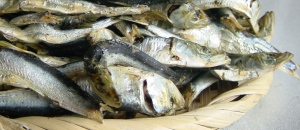 煮干し