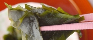 春の香りを感じて…佐渡わかめ