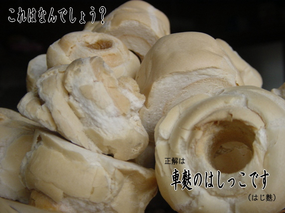 はじ麩