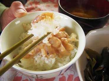 いつもの食卓にいか塩辛