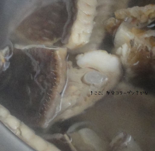 骨のそばにあるココ、コラーゲン?!