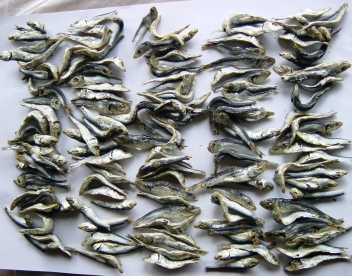 煮干