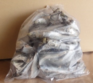 煮干し1kg