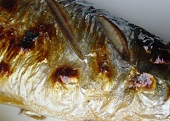 焼きたての春ニシン