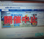 新潟でプロ野球試合があったのに
