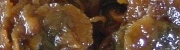 �R�������ݒώ�