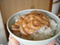 ご飯の上のいか塩辛