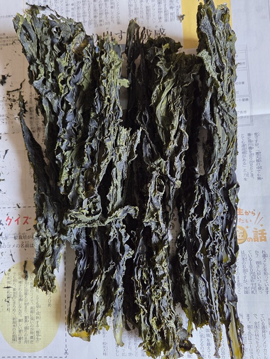 佐渡わかめ小木産を袋から全部出してみた